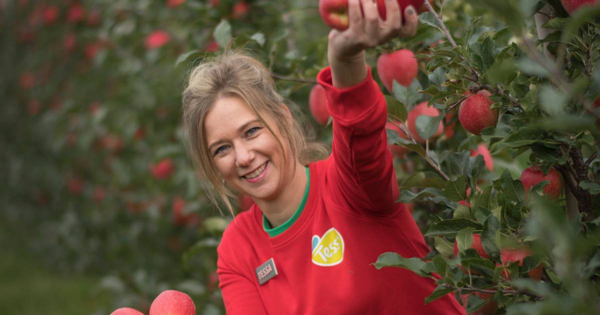 Plukparty met tientallen Tessa’s in boomgaard Opijnen