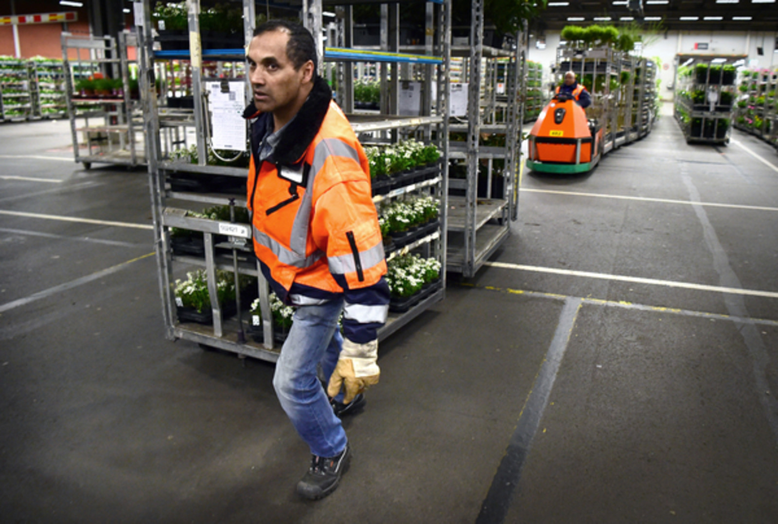 Werknemers van FloraHolland tijdens hun nachtdienst. Beeld Marcel van den Bergh