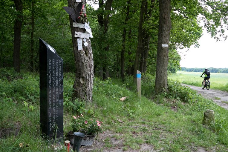 Monument op Brunssummerheide vlakbij de vindplaats van Nicky Verstappen. Beeld ANP
