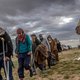 Hoe moet het verder met de berechting van de polderjihadi’s?