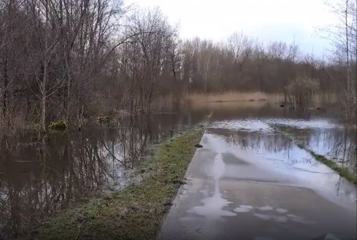 Fietspad onder water in de Stille Kern, Horsterwold