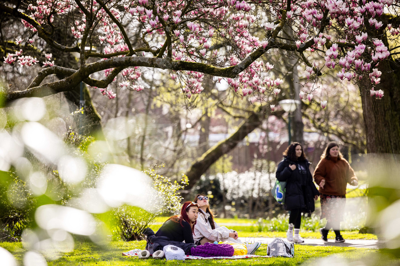 het-is-lente-seizoen-begint-met-een-dipje-maar-richting-de-paasdagen