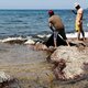Dodelijkste ramp voor kust Libië van dit jaar: 45 mensen overleden