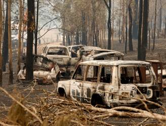 Australische staat roept noodtoestand uit wegens bosbranden
