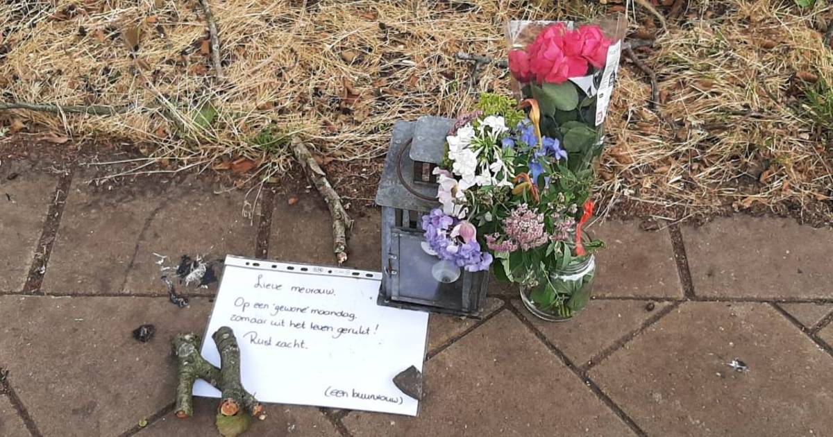 Vrouw overleden na botsing met fiets in Apeldoorn: ‘Op een gewone maandag zomaar uit het leven gerukt’.