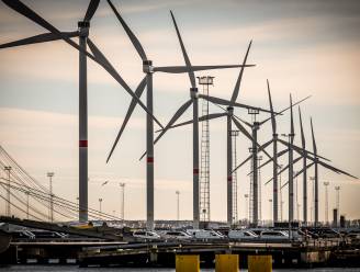 WWF: “Wind- en zonne-energie moeten prioriteit krijgen in energietransitie”