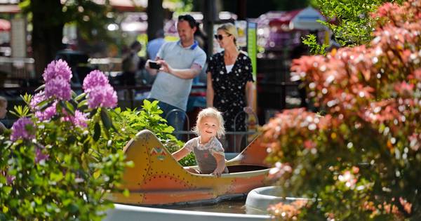 Leukste uitjes van Twente & Enschedeër poseert uitdagend naast alpaca - Tubantia