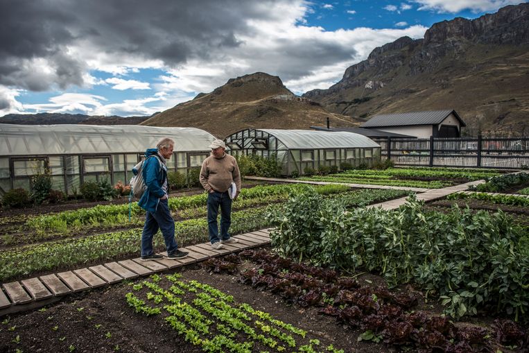  Yvon Chouinard (centraal) en Rick Ridgeway in de organische tuin in het Patagonia National Park in Chili in 2018.  Beeld NYT