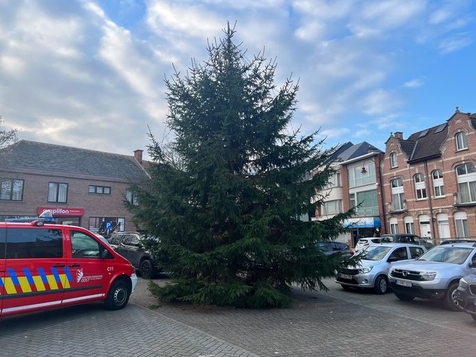 Peer Snel onwetendheid Stad Aarschot heeft opnieuw drie grote kerstbomen | Aarschot | hln.be