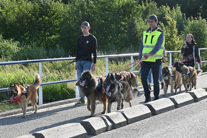 The Walk of the Dogs in Escharen.