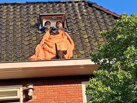 Kat die vastzat op dak van woning in Groningen na tien dagen gered