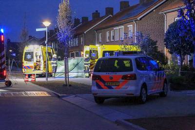 Dode en gewonde bij steekpartij in woonwijk Veghel