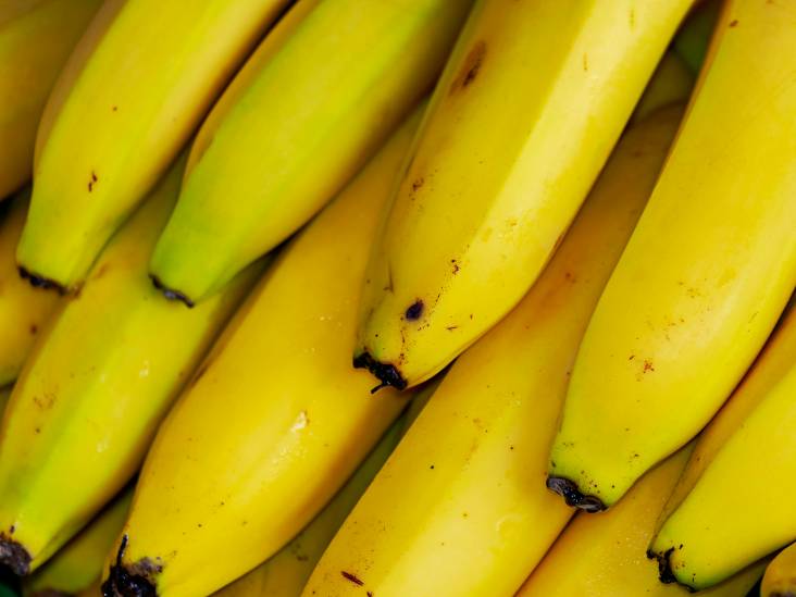 Tientallen kilo’s cocaïne tussen bananen: twee mannen uit Etten-Leur en Hoogerheide betrokken bij smokkel
