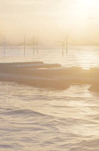 België krijgt er eiland van 2 miljard euro bij: dit reuzenstopcontact moet hernieuwbare stroom uit Noordzee aan land brengen