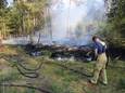 Brandweer blust bosbrand in Sint-Oedenrode