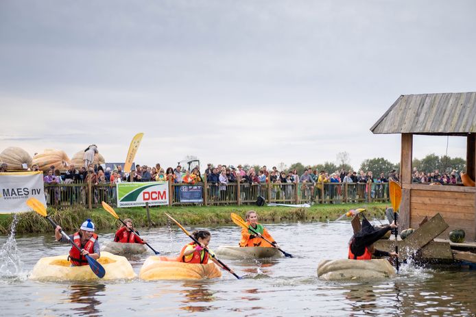 Pompoenregatta aan de Ark van Noë in Kasterlee.