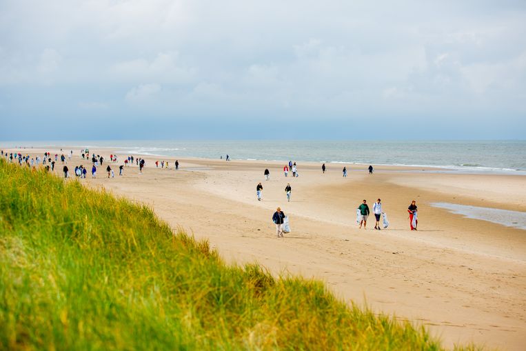 Wetenschap en activisme ineen: de strandopruimdagen van de Stichting Noordzee.  Beeld Lize Kraan