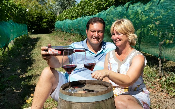 Feddo en Cynthia Heintz schenken een glas van hun eigen wijn tussen de ranken van Wijndomein Buytenwaerde.