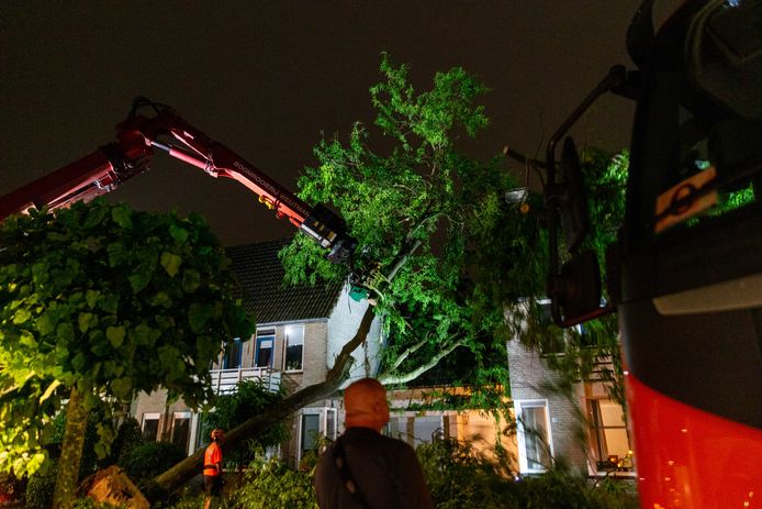 De boom die op 2 huizen in Oosterhout was gevallen is dinsdagavond weggehaald.