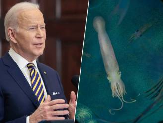 Fossiel van voorouder vampierinktvis vernoemd naar Joe Biden