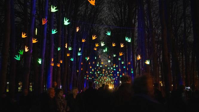 Apeldoorn loopt massaal uit: dromen van tweede editie lichtfestival