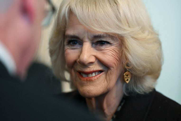 Koningin Camilla draagt jas in trendkleur tijdens bezoek aan Bath 
 Beeld BrunoPress/PA Images
