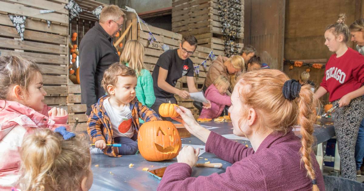 Jong en oud genieten van halloweendag op pompoenboerderij in Geersdijk