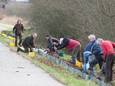 De paddenschermen langs de Somerenseweg zijn straks verleden tijd als er amfibieëntunnel onder de weg  worden aangelegd (archief).