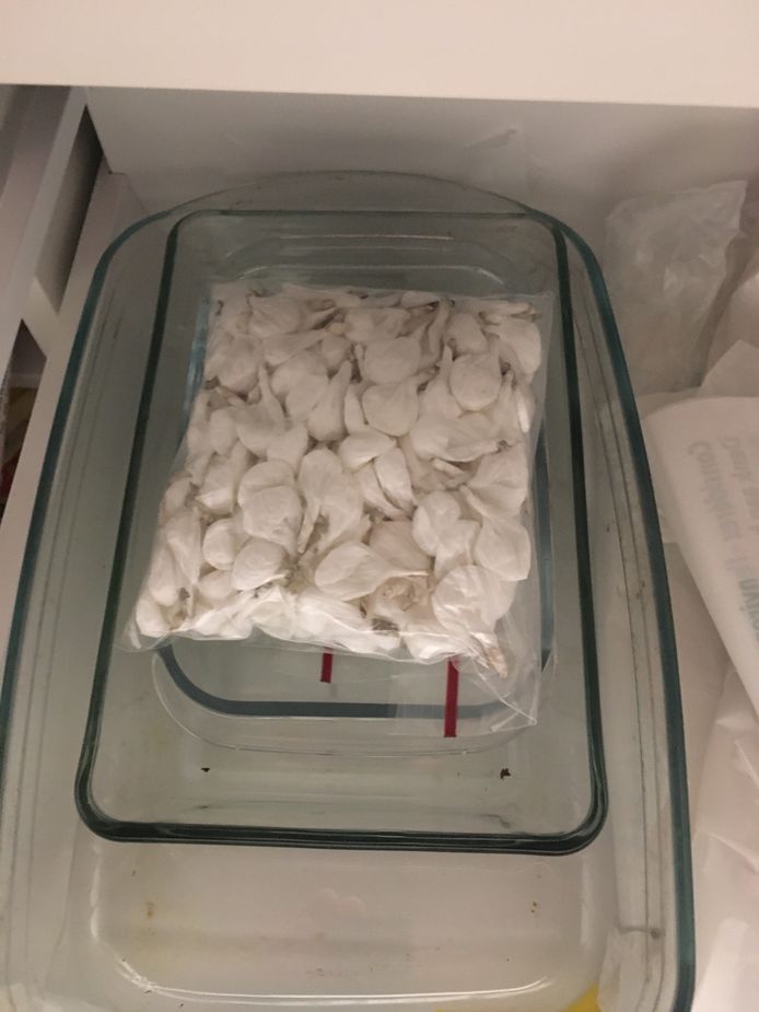 MECHELEN - Bij de huiszoekingen werd er een aanzienlijke hoeveelheid drugs en geld aangetroffen. Net zoals verschillende wapens en luxeproducten.