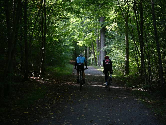 Leuven gaat samen met buurgemeenten bossen verbinden dankzij project WALDEN en dat is ook goed nieuws voor mountainbikers...