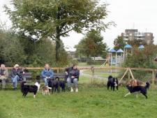 Meer hondenbezitters, dus pleiten partijen in Nieuwegein voor omheinde speelvelden voor de viervoeters