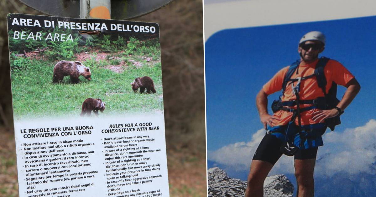 Altro dibattito dopo che l’orso uccide il corridore italiano (26) nel nord Italia, animale non ucciso dal giudice per ora |  animali
