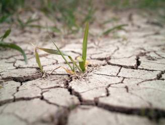 West-Vlaams verbod om nog water op te pompen door aanhoudende droogte breidt uit
