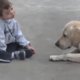 Ontroerend: hond troost jongen met syndroom van Down