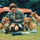 Waar gaan de geliefde corgi's van koningin Elizabeth nu heen?