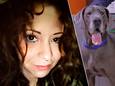 Kristen Potter / Illustratiebeeld Duitse dog