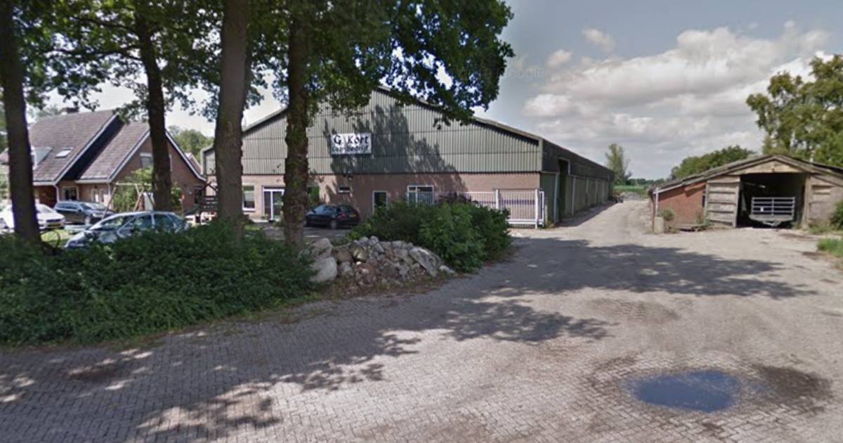 Loonbedrijf Kort blijft in Dedemsvaart; houtverduurzaming past beter in Balkbrug