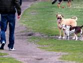 Tiel haalt vrije hond en spelend kind uit elkaar