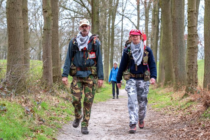 Wandelende Krabben laten meer van de stad zien: ‘Lopen over bruggetjes ...