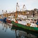 Britse vissers kunnen straks meer vis vangen, maar zijn bij een harde Brexit toch slechter af