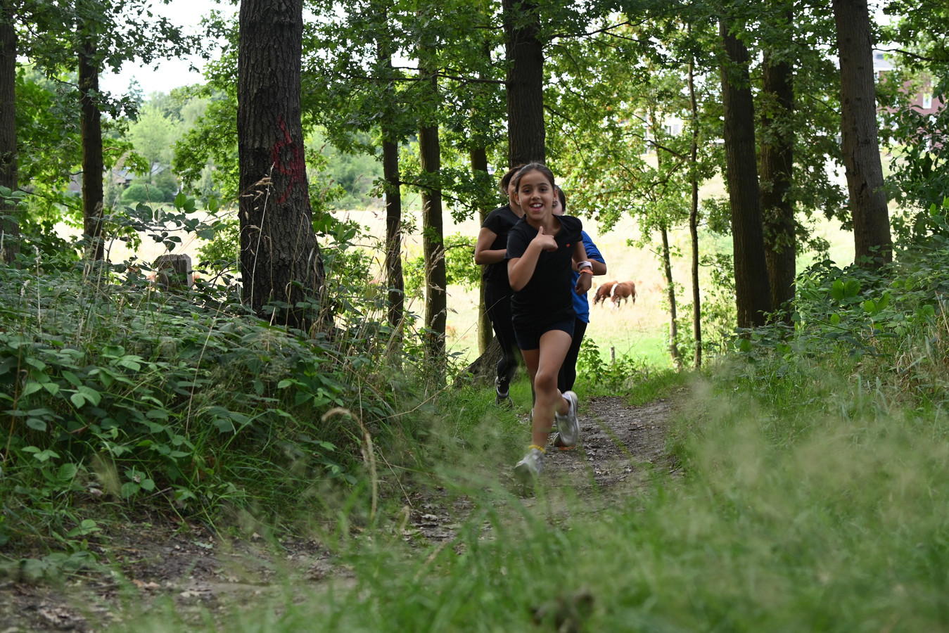 Nieuw op de kalender de Woensdrechtse Obstacle Run Foto AD.nl