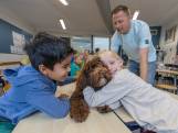 Schoolhond Cruyffie brengt veel plezier op Goese school: ‘Kinderen gaan huppelend weer naar de klas’
