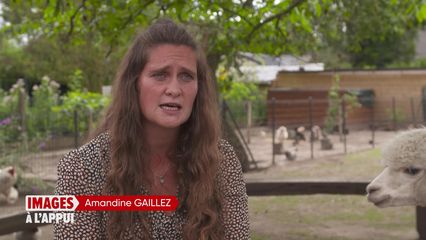 25. Propriétaire, mais SDF...