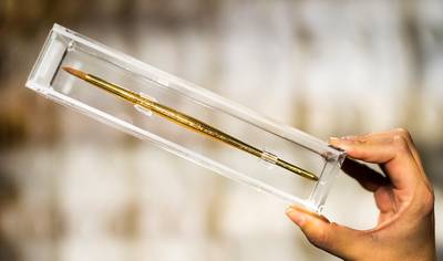 Gouden Griffel en Penseel toegekend voor beste kinderboek