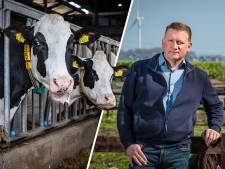 Intrekken vergunningen veehouders volgens Overijssel niet nodig: ‘Menselijke maat ontbreekt’