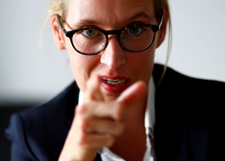 Alice Weidel, het gezicht van de 'gematigde' AfD-vleugel. Beeld REUTERS