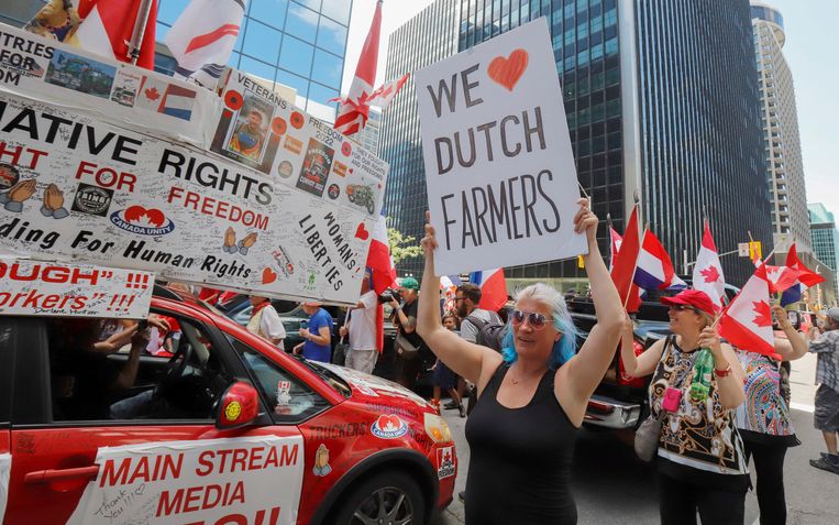 Canadese demonstranten steunen de Nederlandse boeren voor de Nederlandse ambassade in Ottawa. Beeld REUTERS