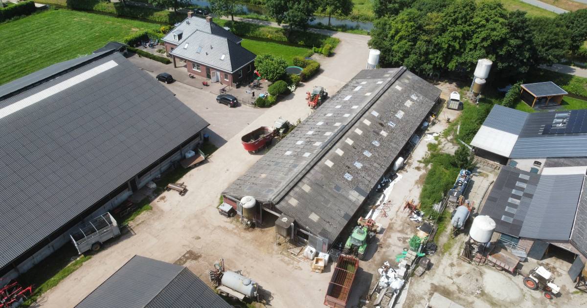 NVWA doet inval bij omvangrijke illegale slachterij in Acquoy en redt achttien schapen van de slacht