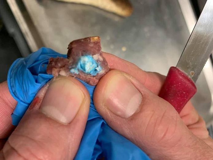 Het gevonden stukje worst met gif in de vorm van blauwe tabletten.