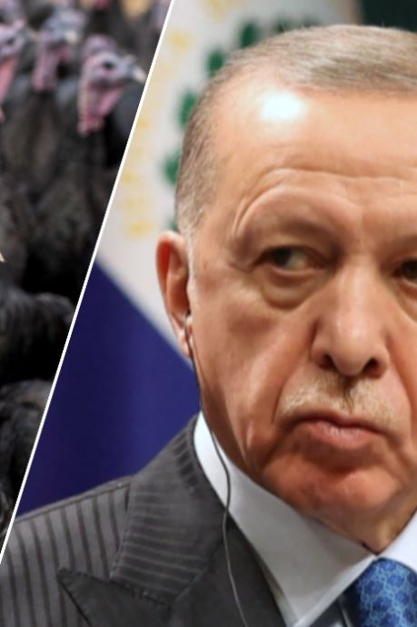 Erdogan veut changer le nom anglais de la Turquie pour ne plus être comparé à une dinde